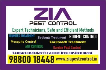 rodent-pest-control-get-rid-of-rats-appartments-office-1848