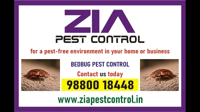 product-detail-zia-pest-control-3