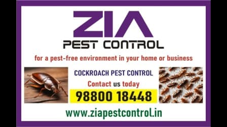 product-detail-zia-pest-control-5