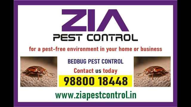 zia-pest-control-9