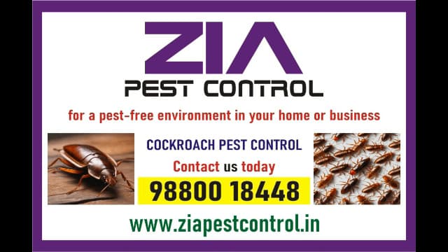 zia-pest-control-10