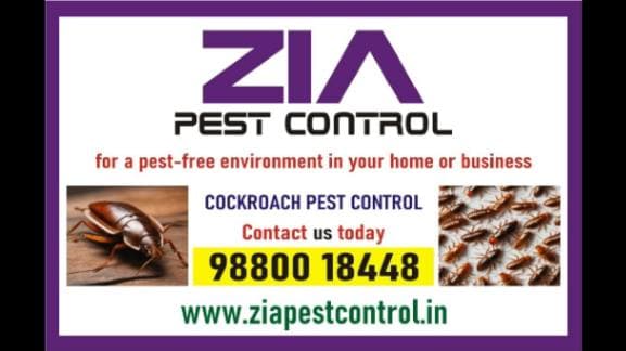 zia-pest-control-cockroach-treatment-rs-999-only-bangalore-5013