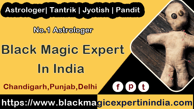 https://bigindia.com/storage//uploads/products/1622554517.jpg