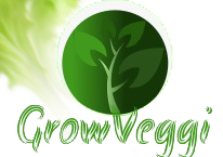 https://bigindia.com/storage//uploads/products/1624820399.PNG