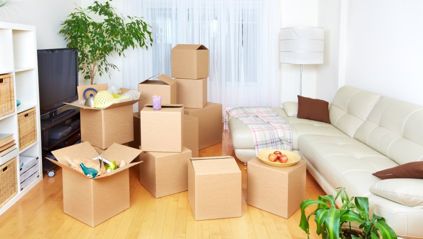 https://bigindia.com/storage//uploads/products/1626328000.jpg