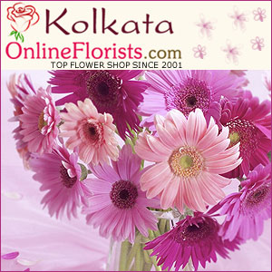 https://bigindia.com/storage//uploads/products/1686048993.jpg