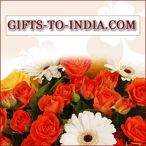https://bigindia.com/storage//uploads/products/1695028670.jpg