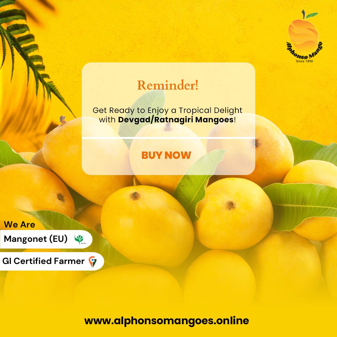 https://bigindia.com/storage//uploads/products/1697018684.jpg