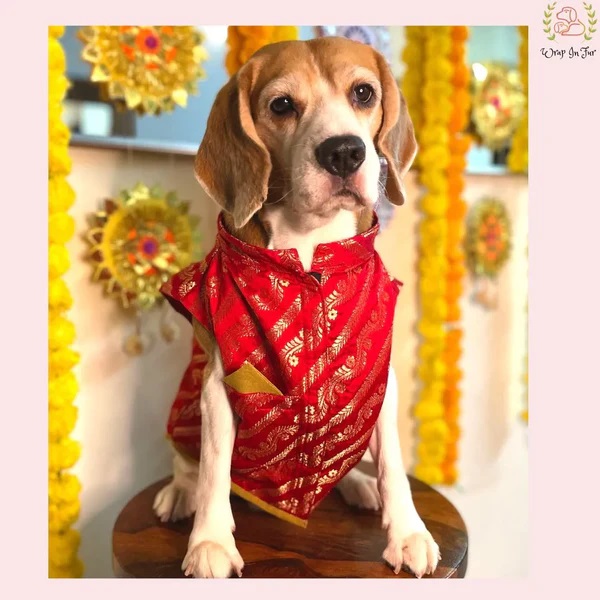 https://bigindia.com/storage//uploads/products/1717737831.jpg