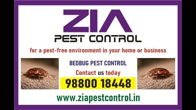https://bigindia.com/storage//uploads/products/1722344657.jpg