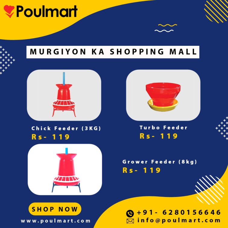 https://bigindia.com/storage//uploads/products/1722665640.jpg