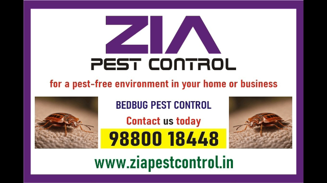 https://bigindia.com/storage//uploads/products/1729317473.png