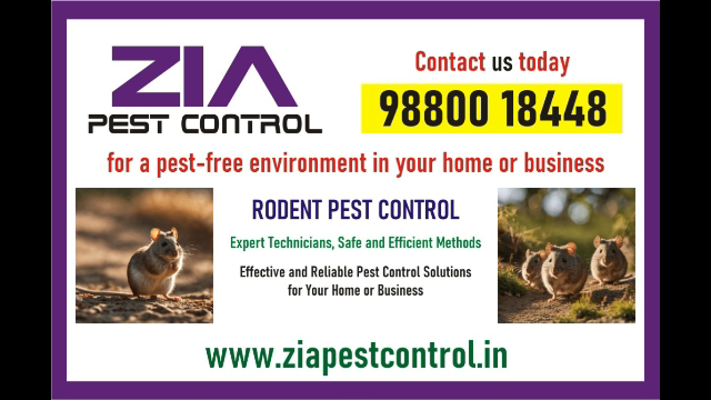 https://bigindia.com/storage//uploads/products/1730369964.png