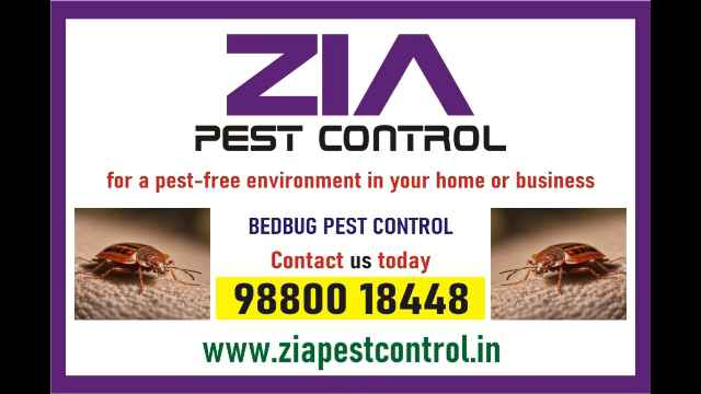 https://bigindia.com/storage//uploads/products/1730861647.jpg