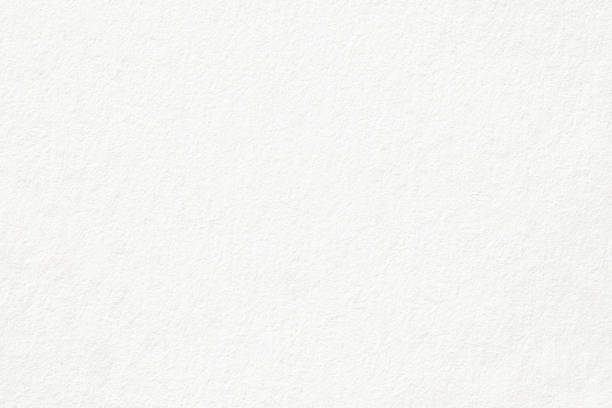 https://bigindia.com/storage//uploads/products/1737144348.jpg
