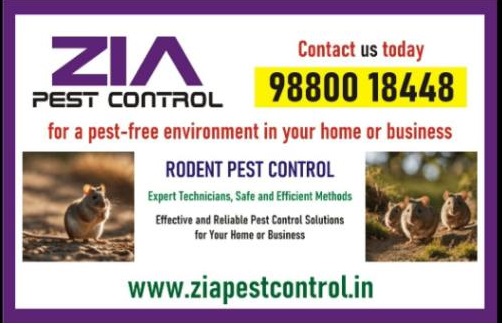 https://bigindia.com/storage//uploads/products/1739457447.jpg
