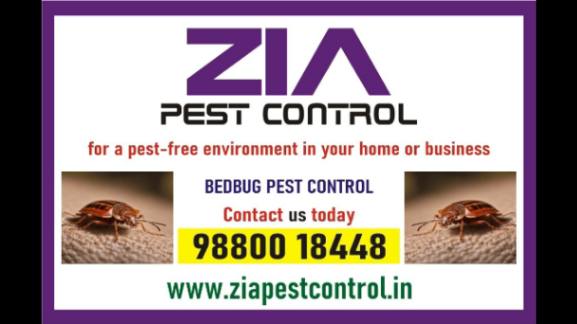 https://bigindia.com/storage//uploads/products/1740404073.jpeg