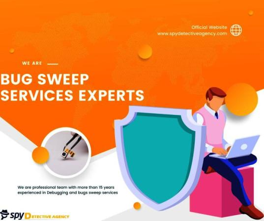 Bug Sweeping Services in Delhi