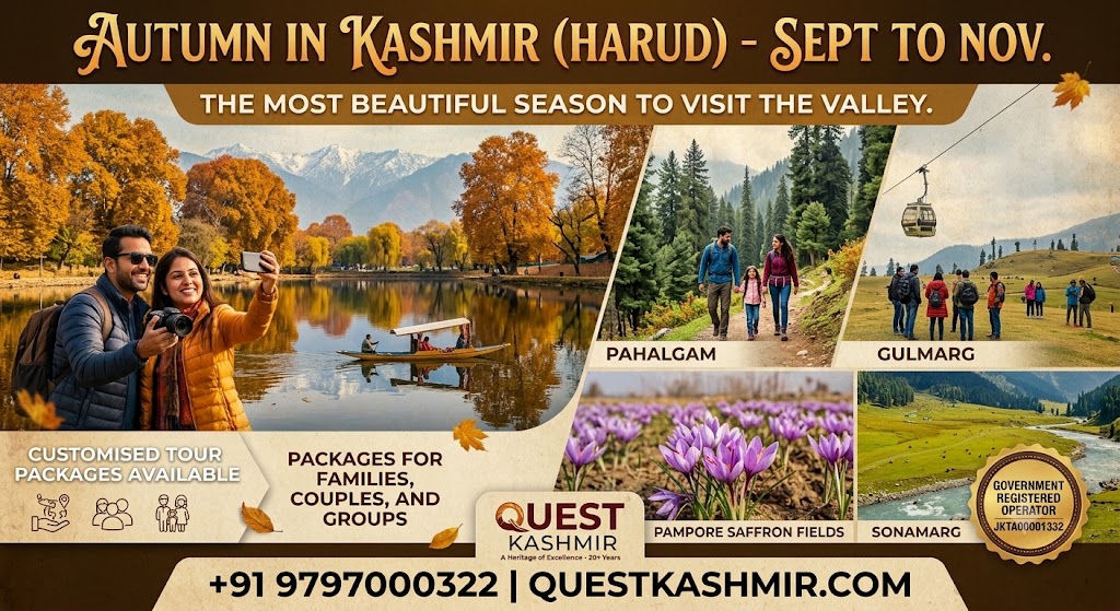 tour and travel services