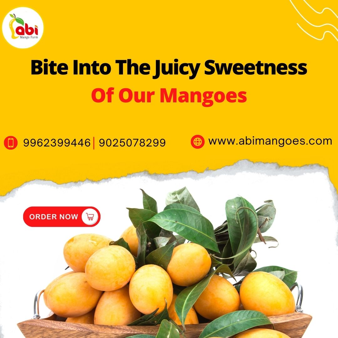 buy-indian-mangoes-online-alphonso-mangoes-onlin