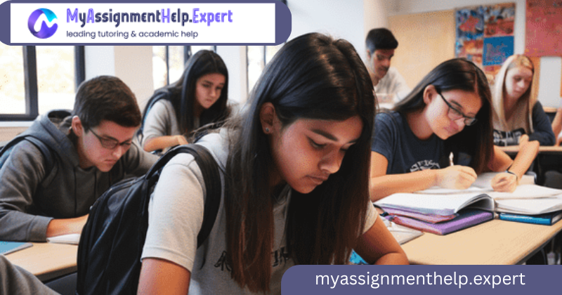 Achieve Success with online programming assignment help