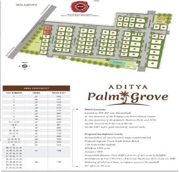 Aditya Palm